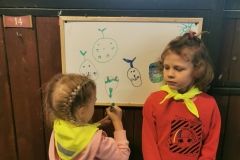 IMG_20240605_121815