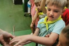 IMG_20240605_122458