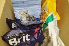 IMG_20240312_130735