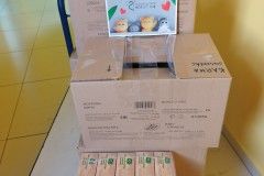 IMG_20240319_131138