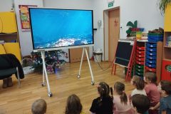 IMG_20251208_104036