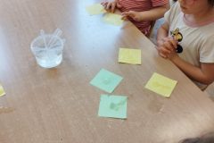 IMG_20251208_105303