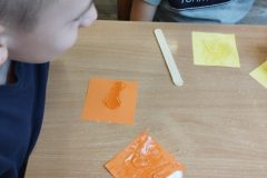 IMG_20251208_105315