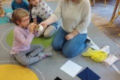 IMG_20251211_110506