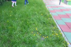 20250508_110741