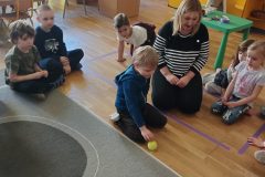IMG_20260216_092946