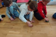 IMG_20260219_092136