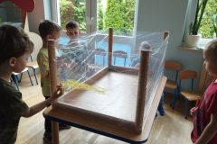 IMG_20250613_122637