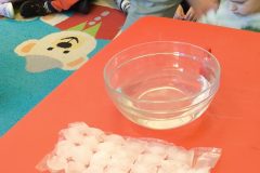IMG_20250506_094409