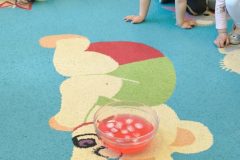 IMG_20250506_094812
