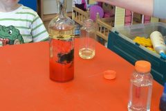 IMG_20250506_095610