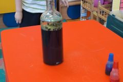 IMG_20250506_095853