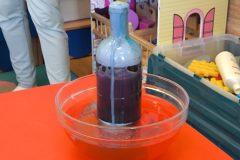 IMG_20250506_095951