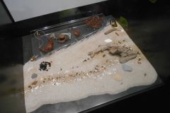 DSCN5883