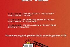 wycieczka-Ognik