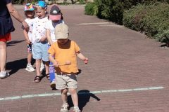 IMG_20260526_094748