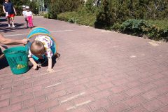 IMG_20260526_095535