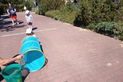 IMG_20260526_095550