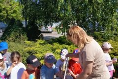 IMG_20260526_100617