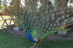 IMG_20220518_094507