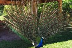 IMG_20220518_094515