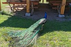 IMG_20220518_094643
