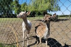 IMG_20220518_094813