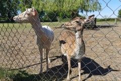 IMG_20220518_094816
