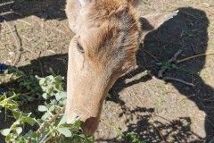IMG_20220518_095108