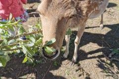 IMG_20220518_095110