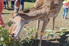 IMG_20220518_095130