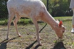 IMG_20220518_095431