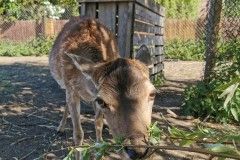 IMG_20220518_095506