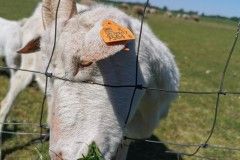 IMG_20220518_101852