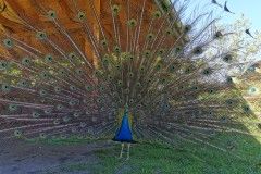 IMG_20220518_110940