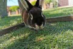 IMG_20220518_111925