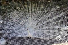 IMG_20220518_112320