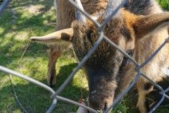 IMG_20220518_121640
