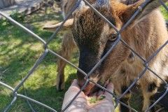 IMG_20220518_121642