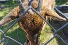 IMG_20220518_121651