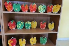 IMG_20221123_110737