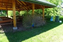 DSC06588