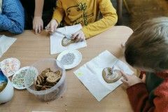 IMG_20231207_122411