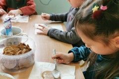 IMG_20231207_122631