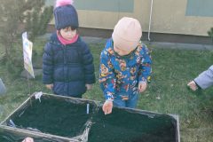 IMG20250321101005