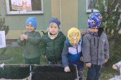 IMG20250321101146
