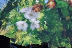 IMG_20260410_102017