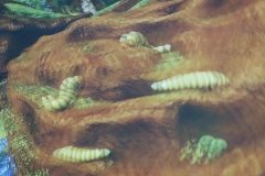 IMG_20260410_102331