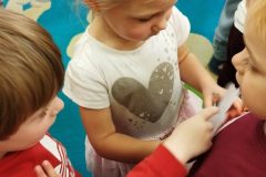 IMG_20251125_103523
