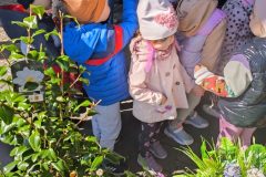 IMG_20250402_110403